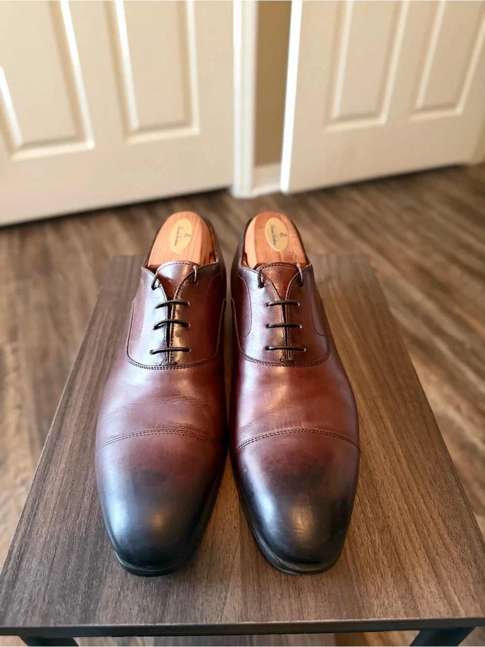 N/A elegant brown